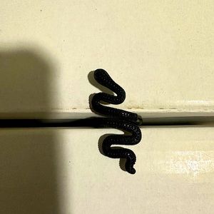 Reputation Black snake ring